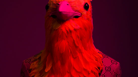 Gucci - Dreaming with Ignasi Monreal